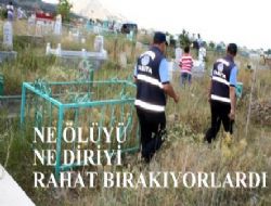 Nihayet sorun giderildi..